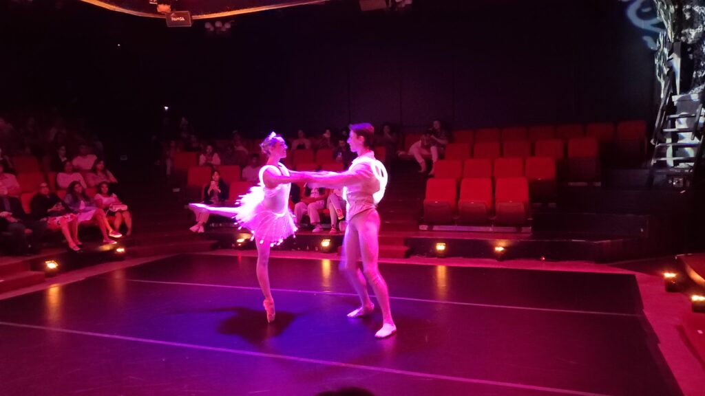 light up costumes on ballerinas performing sleeping beauty ballet of lights inside the nocturne theater