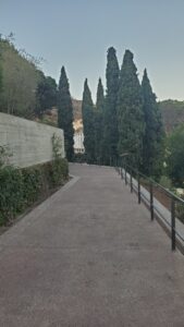 Concrete walkway with black metal railing curves past tall green cypress trees and a concrete wall covered in ivy at Getty Villa Los Angeles